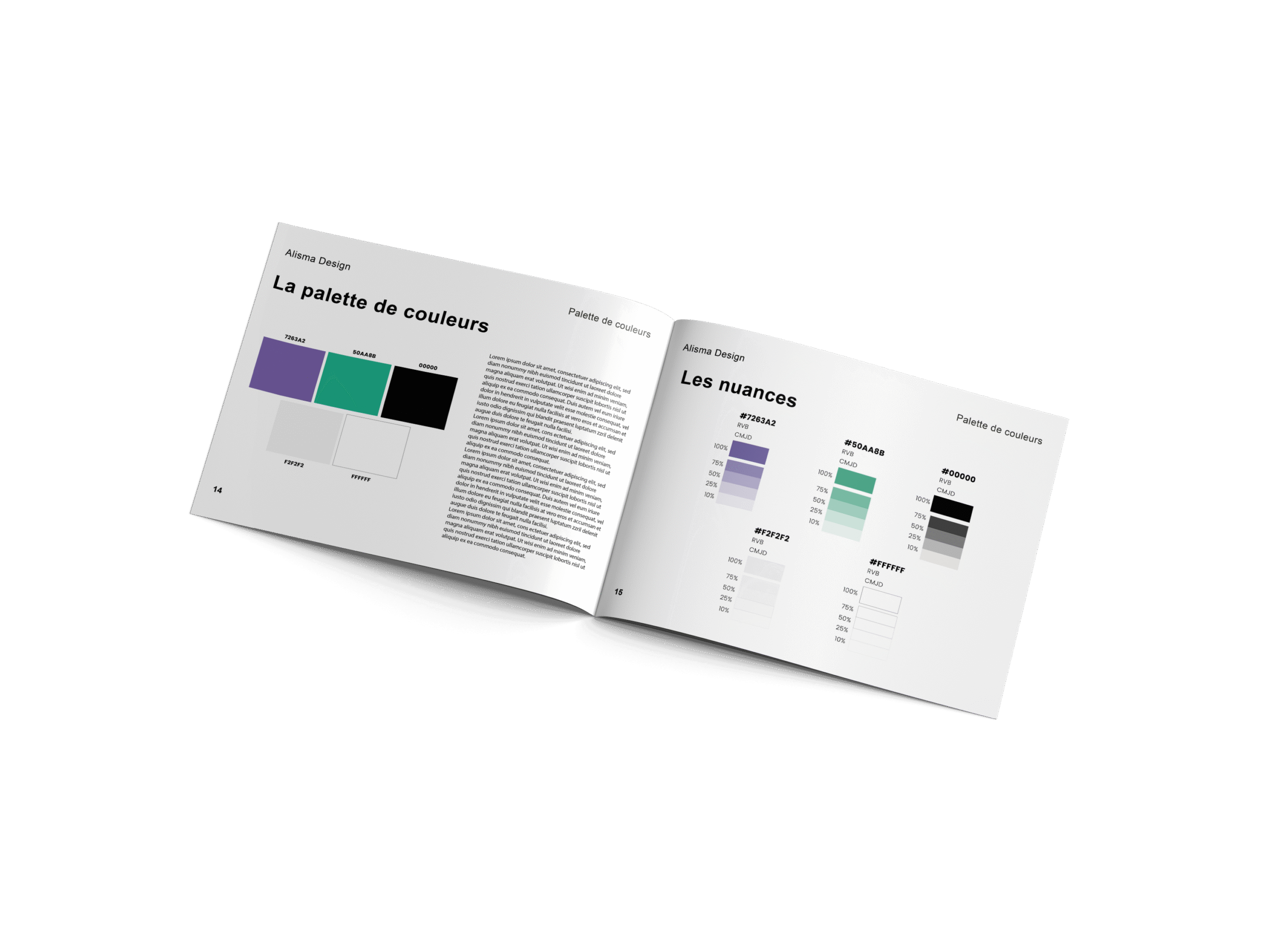 Aperçu du document d’audit